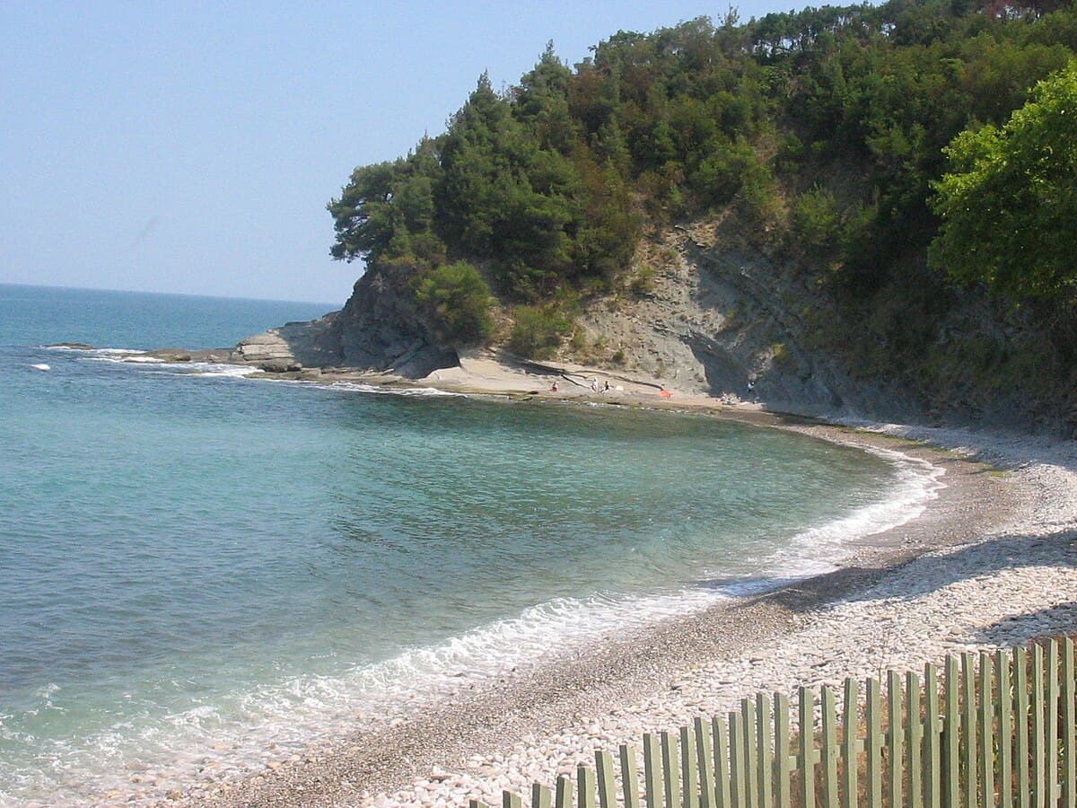 Ayancık