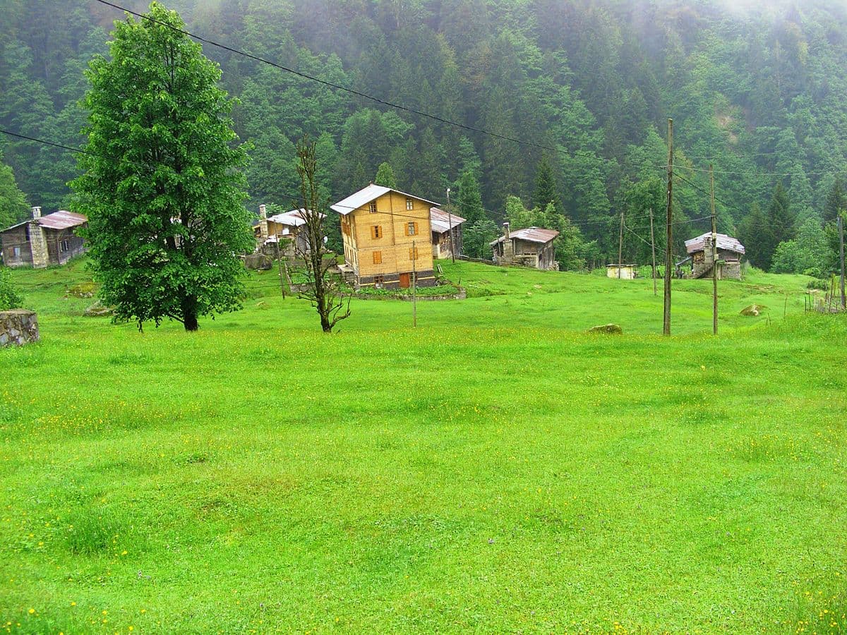Çamlıhemşin / Ayder