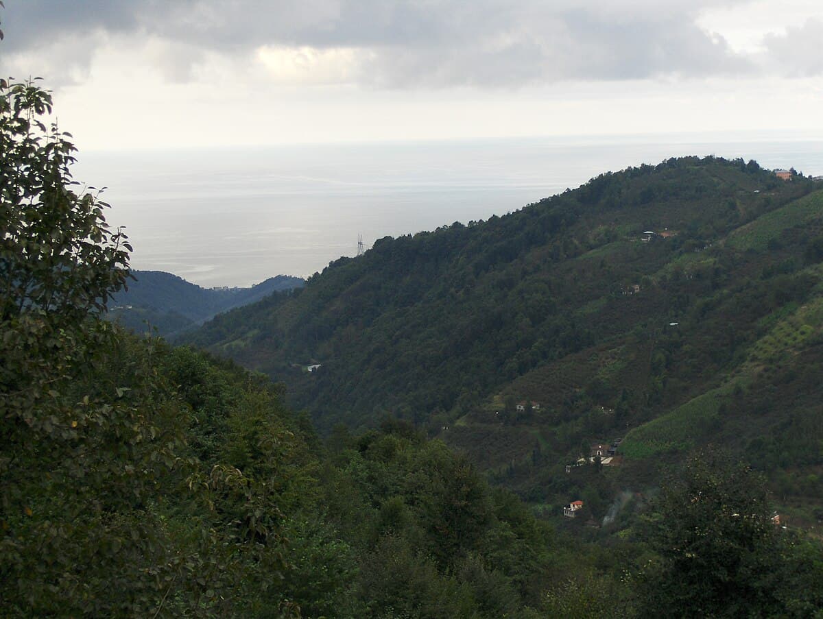 Vakfıkebir
