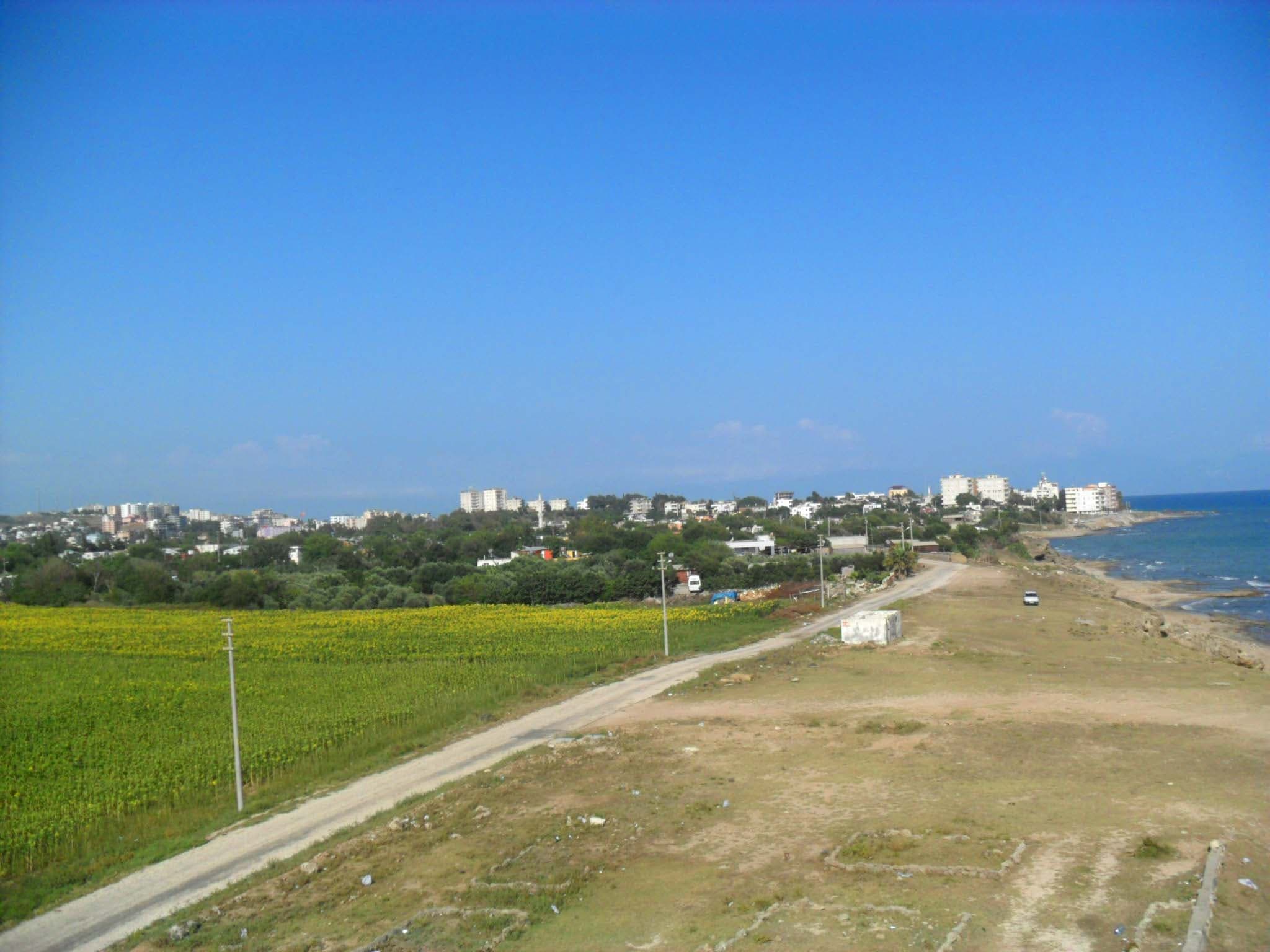 Yumurtalık